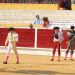Tarde de toros en Peñaranda con Sergio Pérez, Manuel Escribano e Ismael Martín y un recuerdo a Jero Madrid en el tendido