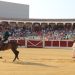 Tarde de toros en Peñaranda con Sergio Pérez, Manuel Escribano e Ismael Martín y un recuerdo a Jero Madrid en el tendido
