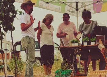 El programa Arboleda 25 culmina tras plantar más de 1.600 árboles en 45 municipios de la provincia salmantina