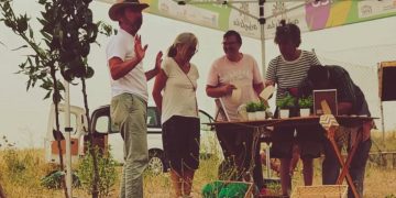 El programa Arboleda 25 culmina tras plantar más de 1.600 árboles en 45 municipios de la provincia salmantina