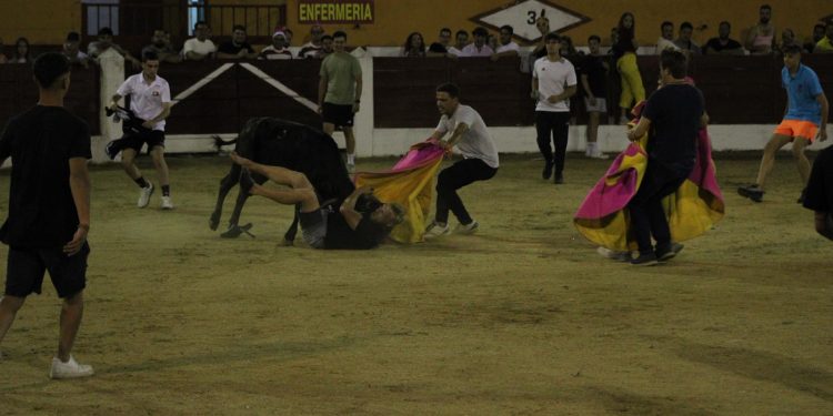 Disfraces, música y mucha diversión en la capea nocturna de Babilafuente con un gran ambiente en los tendidos y en el ruedo