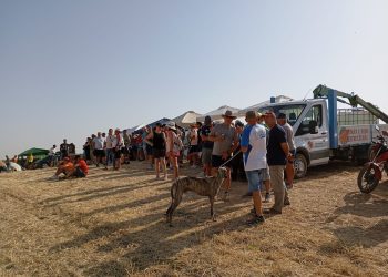Gran ambiente en la II carrera de galgos de Cantaracillo en una previa festiva que incluyó una gran parrillada en la plaza