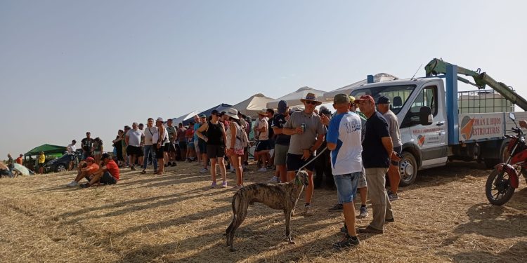 Gran ambiente en la II carrera de galgos de Cantaracillo en una previa festiva que incluyó una gran parrillada en la plaza
