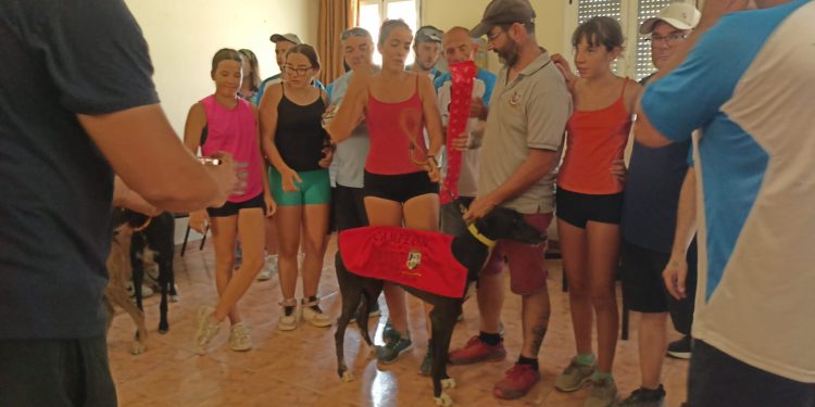 Gran ambiente en la II carrera de galgos de Cantaracillo en una previa festiva que incluyó una gran parrillada en la plaza