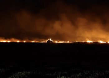 El fuego de cultivos en Poveda de las Cintas arrasó 10 hectáreas y su extinción en plena noche se prolongó casi dos horas