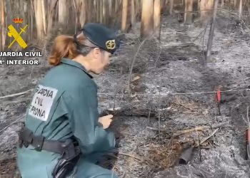 La Junta declara alerta de riesgo de incendios forestales por causas meteorológicas para toda la Comunidad hasta el día 22