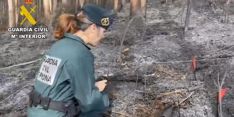La Junta declara alerta de riesgo de incendios forestales por causas meteorológicas para toda la Comunidad hasta el día 22