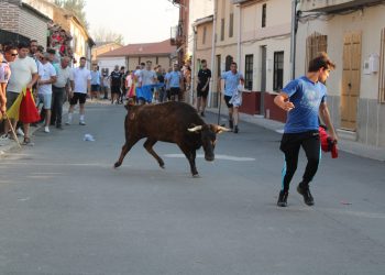 Palaciosrubios reúne a aficionados de toda la comarca en el primer y emocionante encierro de las fiestas de las Nieves