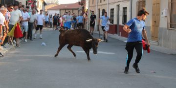 Palaciosrubios reúne a aficionados de toda la comarca en el primer y emocionante encierro de las fiestas de las Nieves