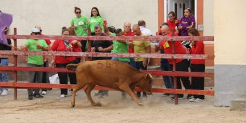 Tarde taurina en Zorita de la Frontera con la lidia de vaquillas al estilo popular y peñas y vecinos animando desde los tendidos
