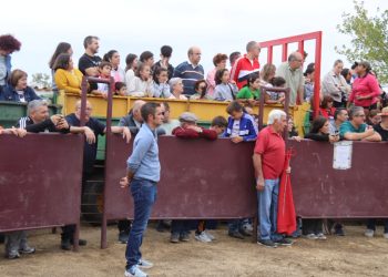 Nava de Sotrobal reúne en El Calvario a los aficionados taurinos en una tarde de vaquillas, emoción en el ruedo y algún pequeño susto