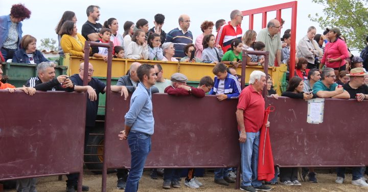 Nava de Sotrobal reúne en El Calvario a los aficionados taurinos en una tarde de vaquillas, emoción en el ruedo y algún pequeño susto