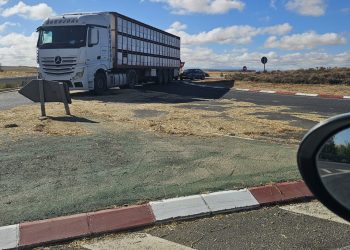 Un camión pierde varios fardos de paja en la rotonda de la A-50 en Peñaranda y la Guardia Civil controla el tráfico en la zona