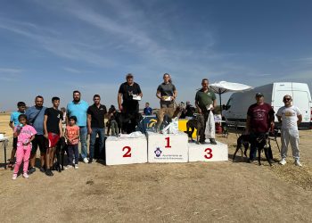 Uva y Renko ganan la II edición de la carrera de galgos «Ciudad de Peñaranda» que abre el prólogo de las fiestas de San Miguel