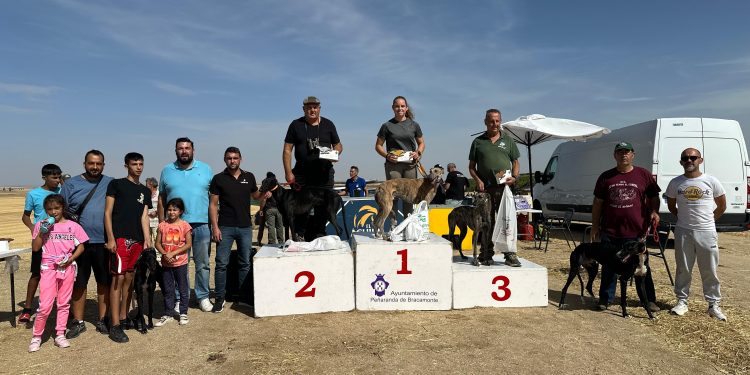 Uva y Renko ganan la II edición de la carrera de galgos «Ciudad de Peñaranda» que abre el prólogo de las fiestas de San Miguel