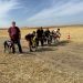 Uva y Renko ganan la II edición de la carrera de galgos «Ciudad de Peñaranda» que abre el prólogo de las fiestas de San Miguel