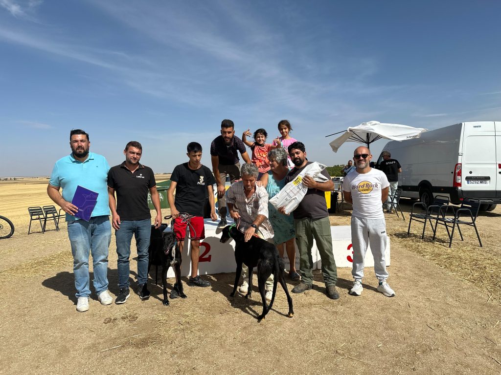 galgos 19