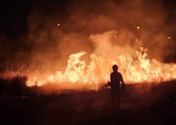 Voluntarios del parque de Bomberos de Peñaranda y Policía Local hacen frente a un pavoroso incendio en un solar abandonado
