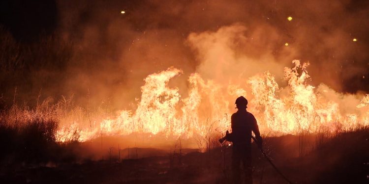 Voluntarios del parque de Bomberos de Peñaranda y Policía Local hacen frente a un pavoroso incendio en un solar abandonado