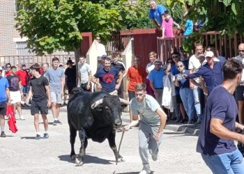 La III edición del Toro de la Encina llena de aficionados las calles de Macotera con «Coleterón» como protagonista del festejo
