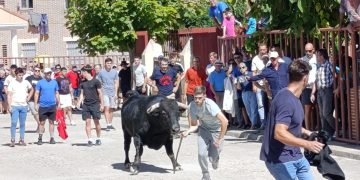 La III edición del Toro de la Encina llena de aficionados las calles de Macotera con «Coleterón» como protagonista del festejo