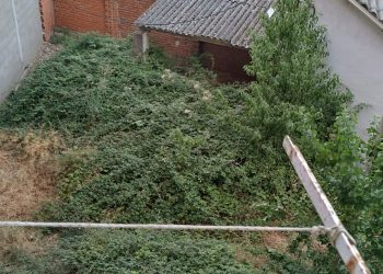 Peñaranda en Común vuelve a reclamar «mano dura» con los propietarios de los numerosos solares que siguen sin limpiar