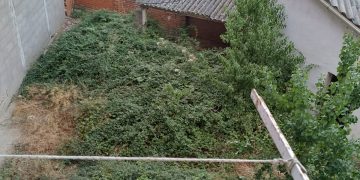 Peñaranda en Común vuelve a reclamar «mano dura» con los propietarios de los numerosos solares que siguen sin limpiar