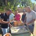 Tarazona de la Guareña reparte casi 300 raciones de picadillo con huevos fritos para despedir las fiestas de San Miguel Arcángel