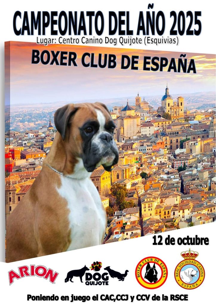 boxer 8