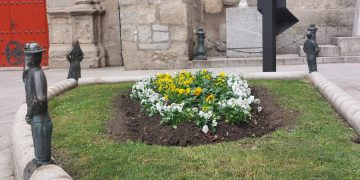 2.000 plantas de temporada ornamentarán las zonas ajardinadas y espacios públicos de Peñaranda durante el otoño y el invierno