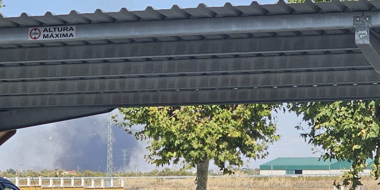 Una densa nube de humo negro sobre Aldeaseca de la Frontera desata la alarma entre los vecinos de los pueblos cercanos