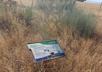 El Partido Popular de Peñaranda denuncia el abandono que sufre el parque El Inestal y exige medidas urgentes para su recuperación