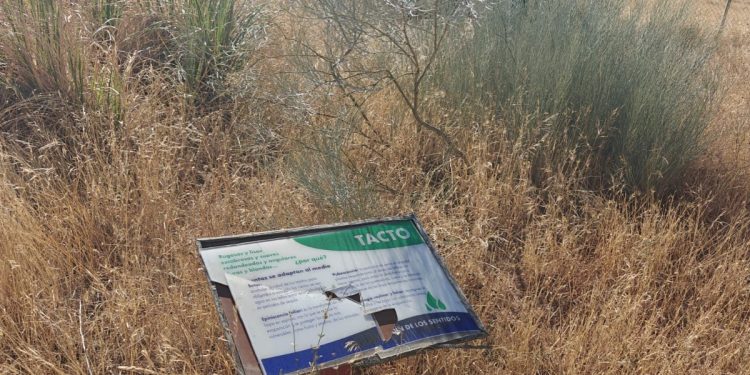 El Partido Popular de Peñaranda denuncia el abandono que sufre el parque El Inestal y exige medidas urgentes para su recuperación