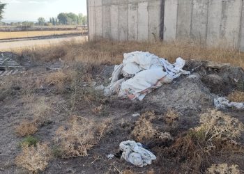 Peñaranda en Común critica el estado de abandono de las zonas verdes del polígono industrial El Inestal y piden soluciones