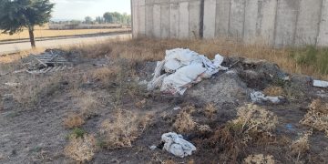 Peñaranda en Común critica el estado de abandono de las zonas verdes del polígono industrial El Inestal y piden soluciones