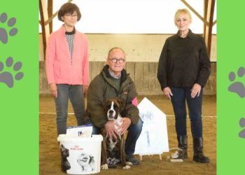 Más triunfos para los bóxer de la tierra, esta vez en Francia con Luisa de los Infanzones «arrasando» y acumulando premios