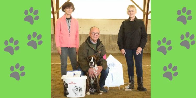 Más triunfos para los bóxer de la tierra, esta vez en Francia con Luisa de los Infanzones «arrasando» y acumulando premios