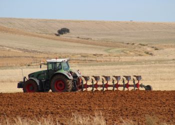 El tiempo complica las labores del campo y se prevé una importante disminución en la siembra otoñal de cereales y colza