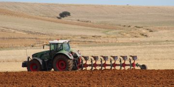 El tiempo complica las labores del campo y se prevé una importante disminución en la siembra otoñal de cereales y colza