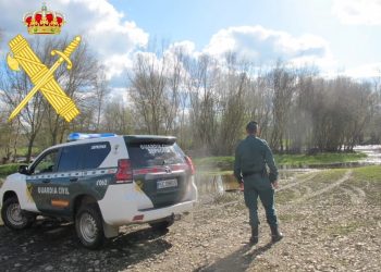 El Seprona de Peñaranda pilla «in fraganti» a tres varones cazando con galgos de manera ilegal en Macotera