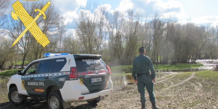 El Seprona de Peñaranda pilla «in fraganti» a tres varones cazando con galgos de manera ilegal en Macotera