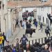 El I Toro de San Andrés llena las calles de Palaciosrubios en una tarde de sábado con intenso frío y emoción a partes iguales