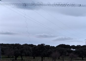 UPA Salamanca pide la retirada de los cables de los postes telefónicos que quedan en las tierras tras los robos de cobre