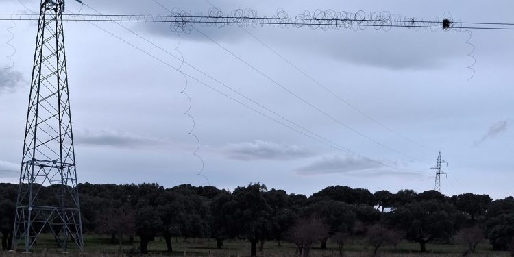 UPA Salamanca pide la retirada de los cables de los postes telefónicos que quedan en las tierras tras los robos de cobre