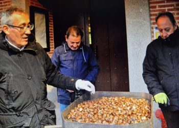 Macotera celebra una gran castañada en la plaza que une a vecinos y visitantes en este puente festivo de la Constitución