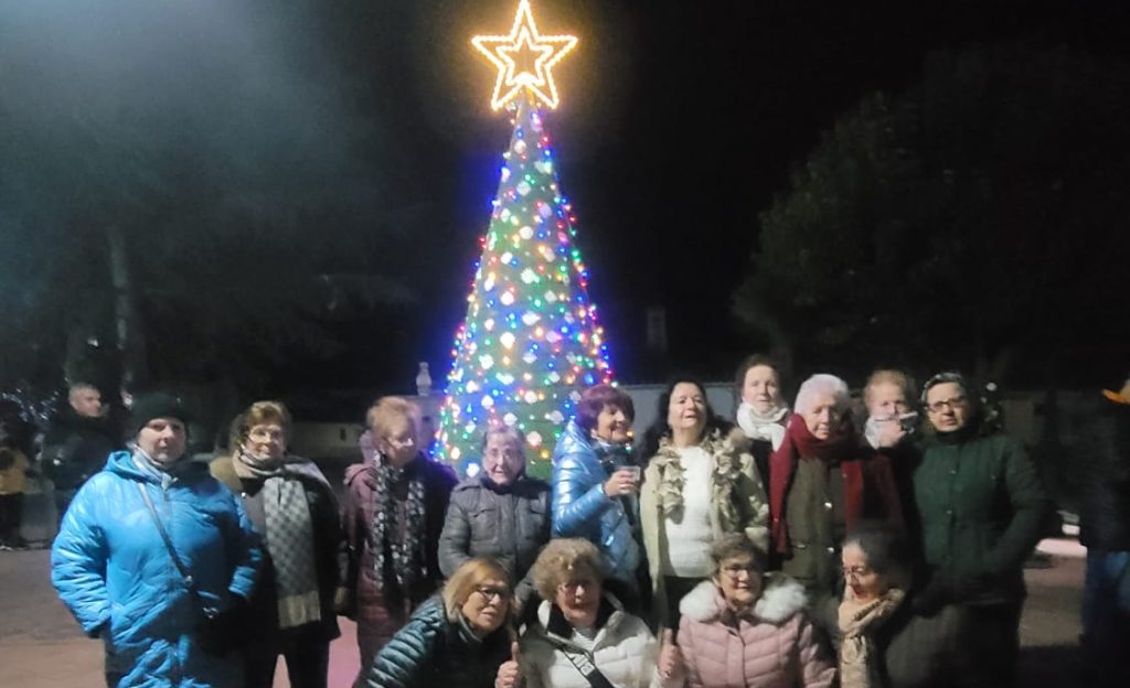 tordillos 9 e1765197575931