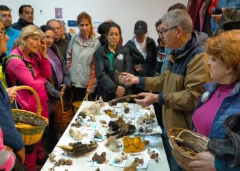 La campaña micológica 2025 de la Diputación en Salamanca refuerza la regulación y consolida el micoturismo en la provincia