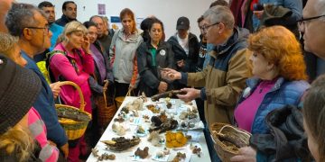 La campaña micológica 2025 de la Diputación en Salamanca refuerza la regulación y consolida el micoturismo en la provincia