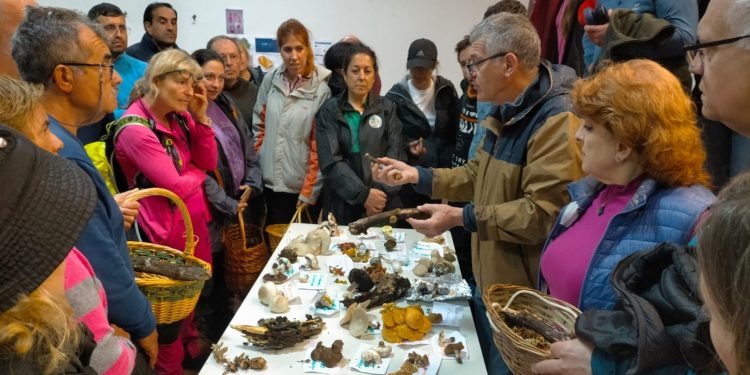 La campaña micológica 2025 de la Diputación en Salamanca refuerza la regulación y consolida el micoturismo en la provincia