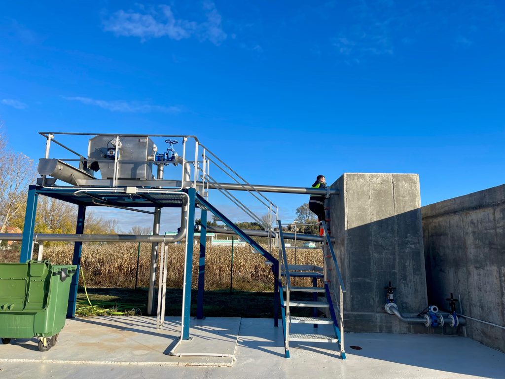 F. depuradora Aldelengua